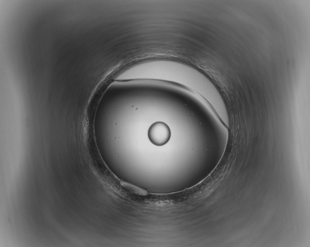 X0000116650304200912211452