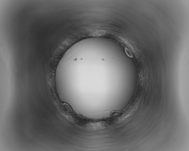 X0000116650307200912211452