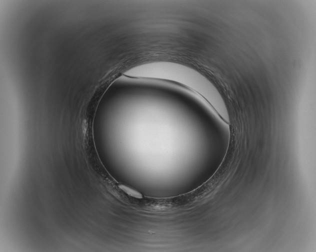 X0000116650308200912211452