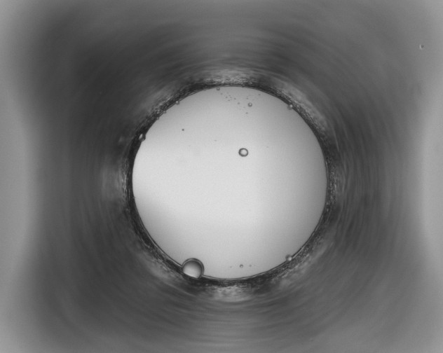 X0000116650309200912211452