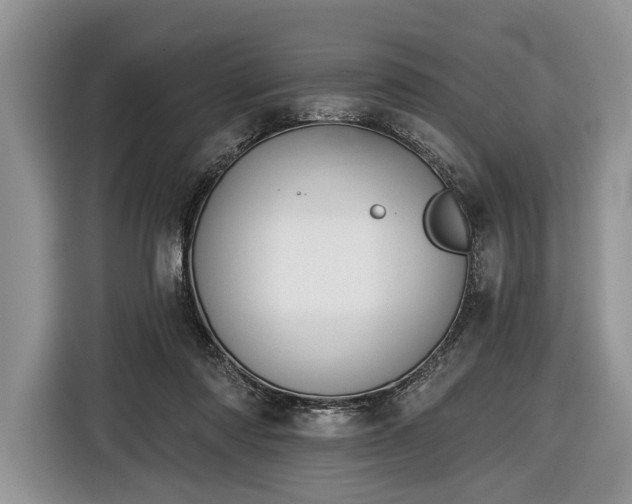 X0000116650310200912211452