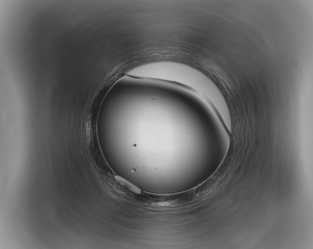 X0000116650312200912211452