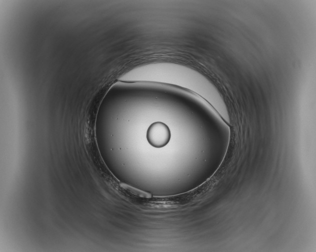 X0000116650316200912211452
