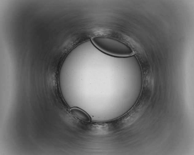 X0000116650317200912211452
