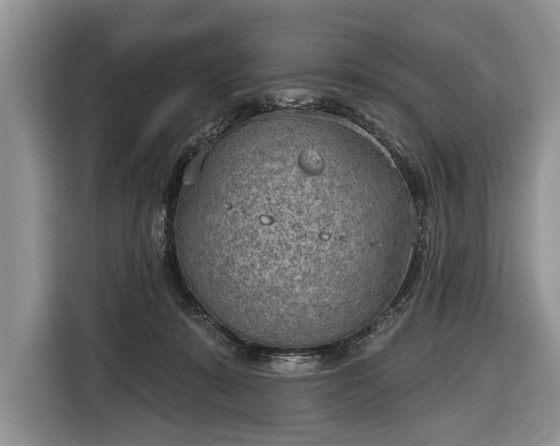 X0000116650319200912211452