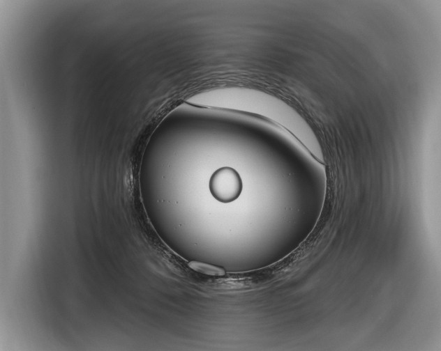 X0000116650320200912211452