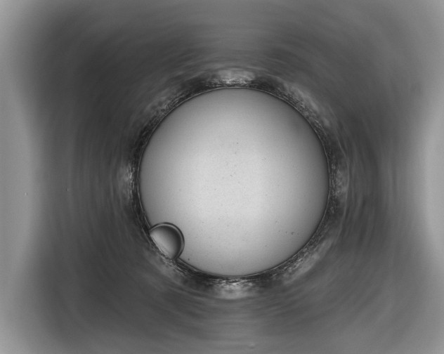 X0000116650321200912211452