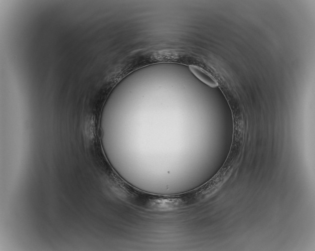 X0000116650323200912211452