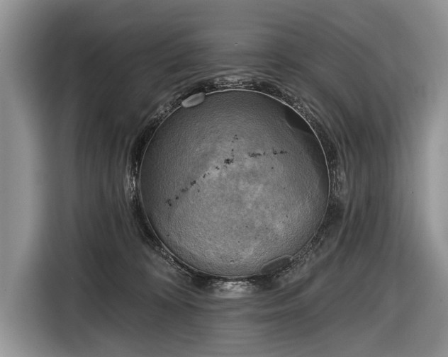 X0000116650324200912211452