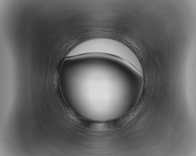 X0000116650325200912211452
