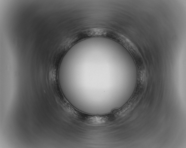 X0000116650326200912211452