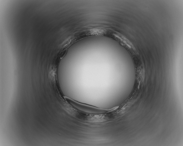 X0000116650329200912211452