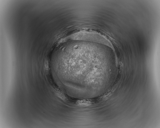 X0000116650331200912211452
