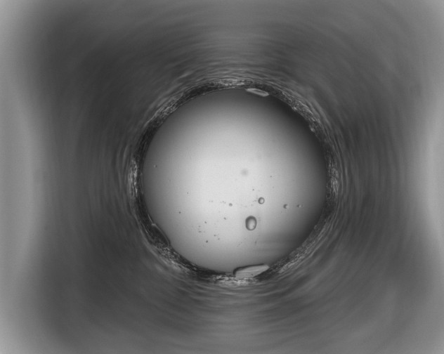 X0000116650332200912211452