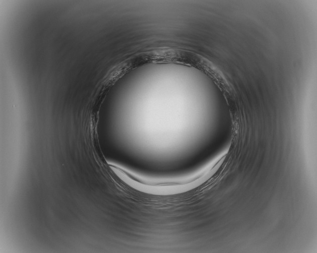 X0000116650333200912211452