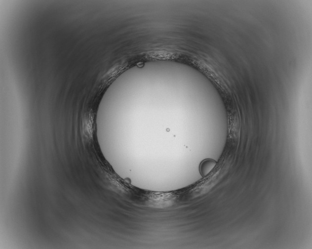 X0000116650334200912211452