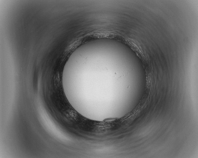 X0000116650335200912211452