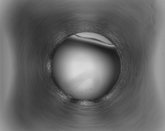 X0000116650336200912211452