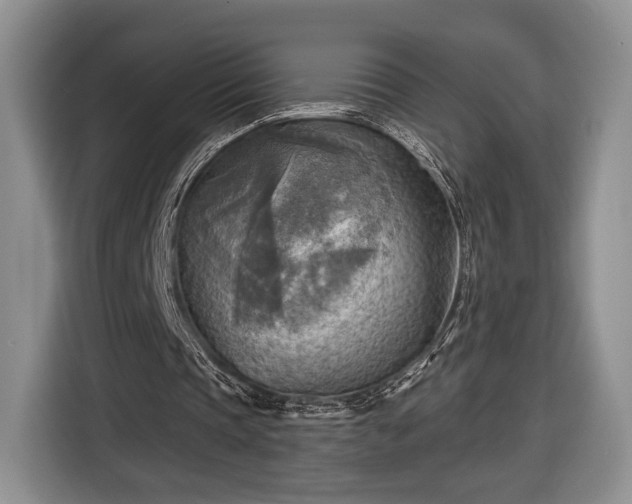 X0000116650337200912211451