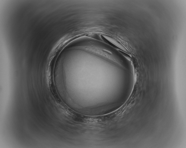 X0000116650339200912211451