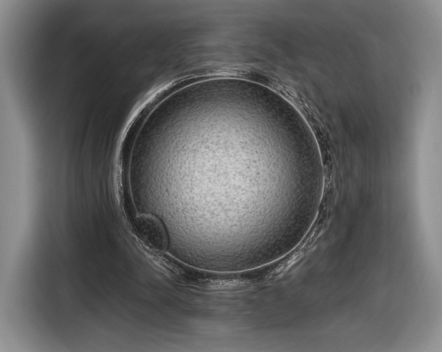 X0000116650342200912211451