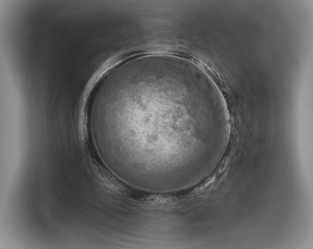 X0000116650343200912211451