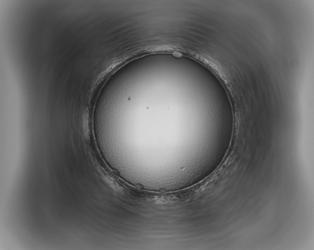 X0000116650345200912211451