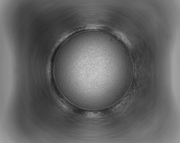 X0000116650346200912211451