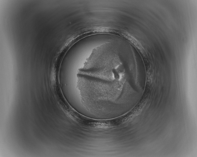 X0000116650347200912211451