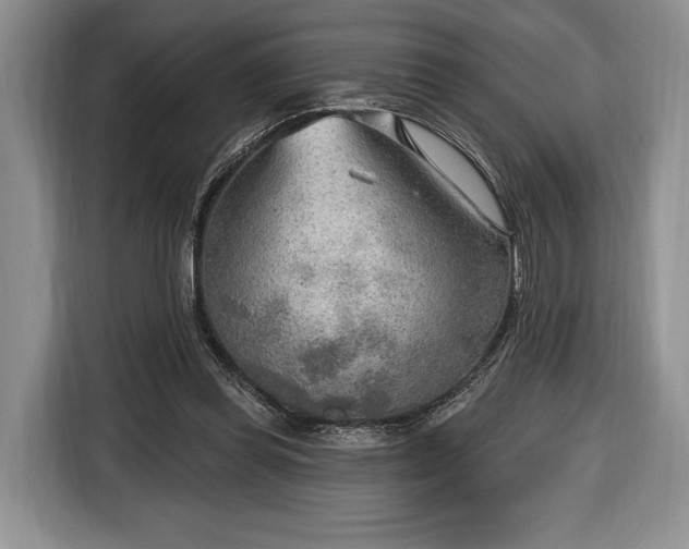 X0000116650349200912211451