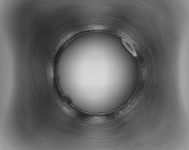 X0000116650350200912211451