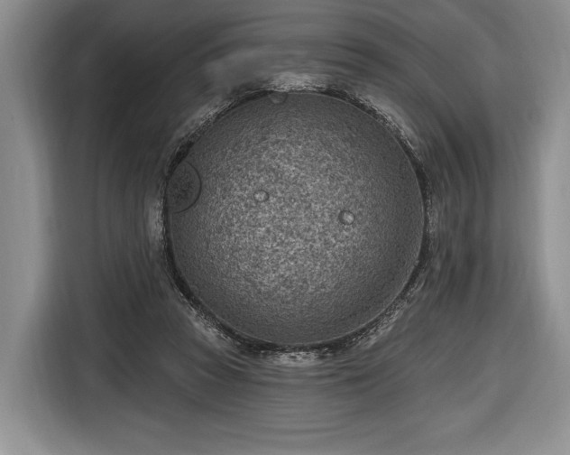 X0000116650353200912211451