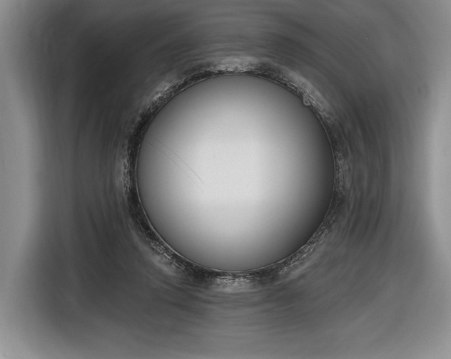 X0000116650354200912211451