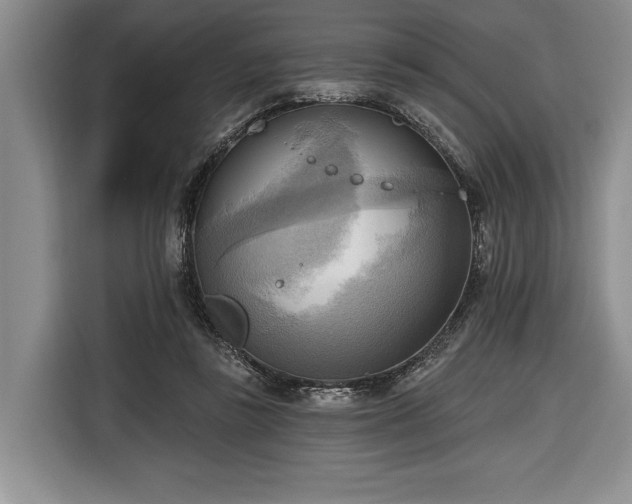 X0000116650355200912211452