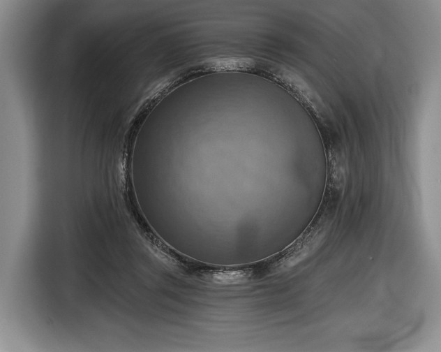 X0000116650357200912211452