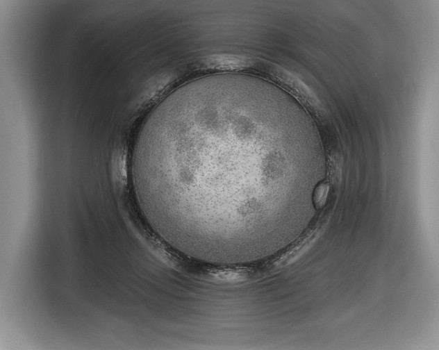 X0000116650358200912211452