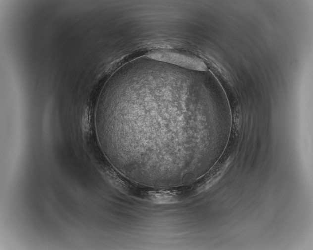 X0000116650359200912211452