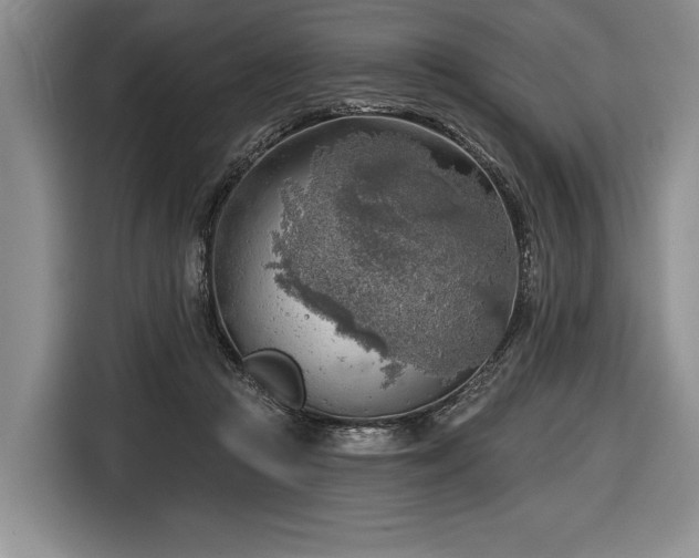 X0000116650361200912211452
