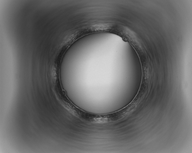 X0000116650362200912211452