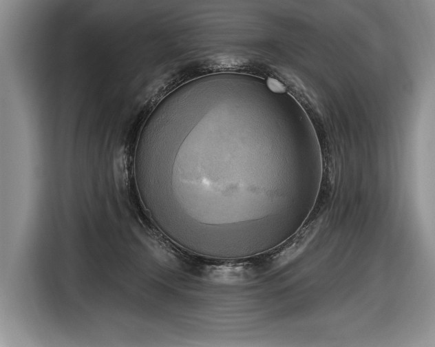 X0000116650366200912211452