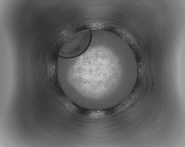 X0000116650369200912211452