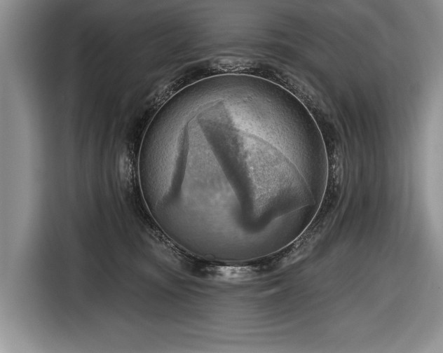 X0000116650371200912211452