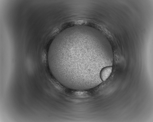X0000116650375200912211452