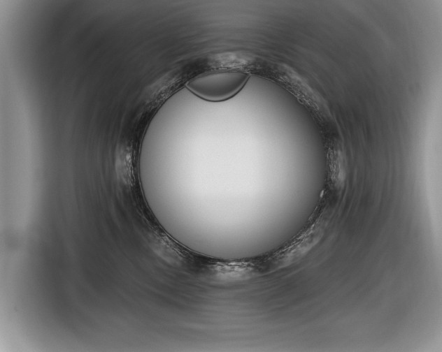 X0000116650378200912211452