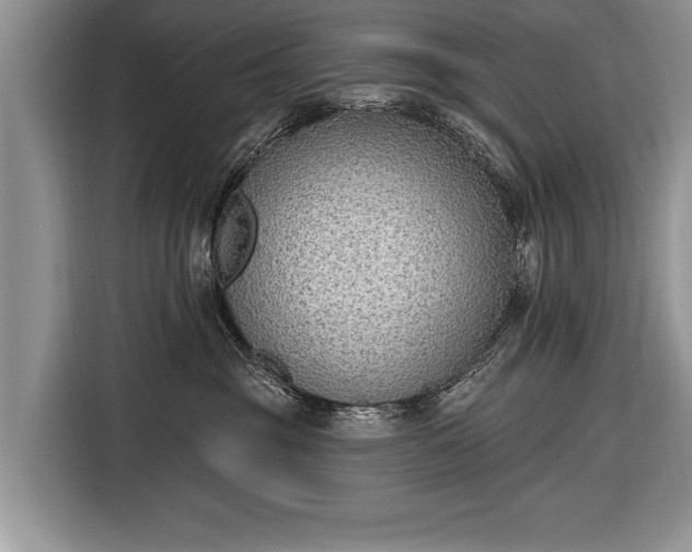 X0000116650381200912211452