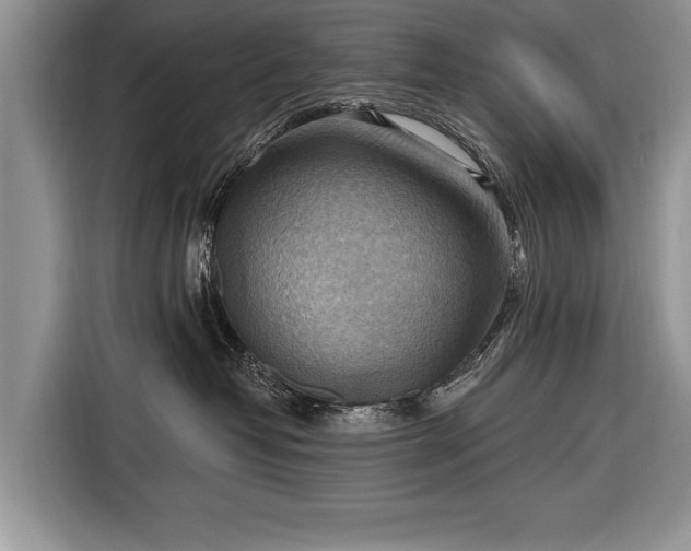 X0000116650382200912211452