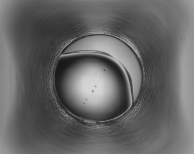 X0000116650385200912211451