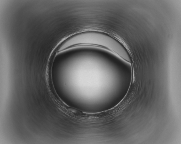 X0000116650387200912211451