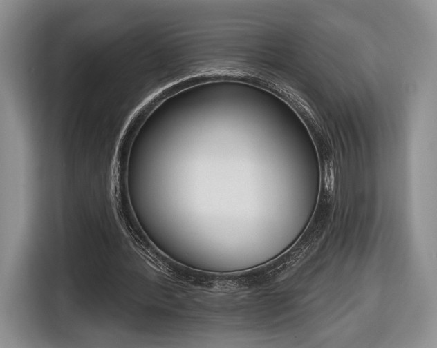 X0000116650388200912211451