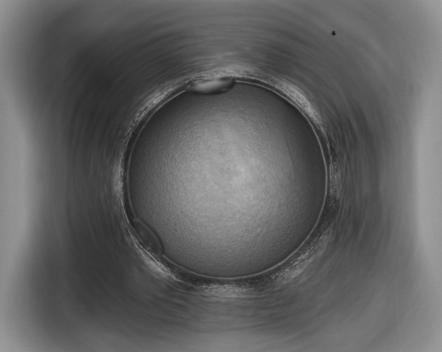 X0000116650389200912211451